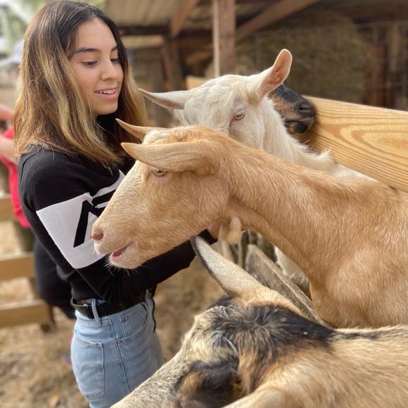 πBcB generation Moto leather Bootsπ - Picture 13 of 16